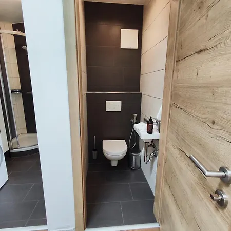 Appartement Alpinoase Centre Zell Am *