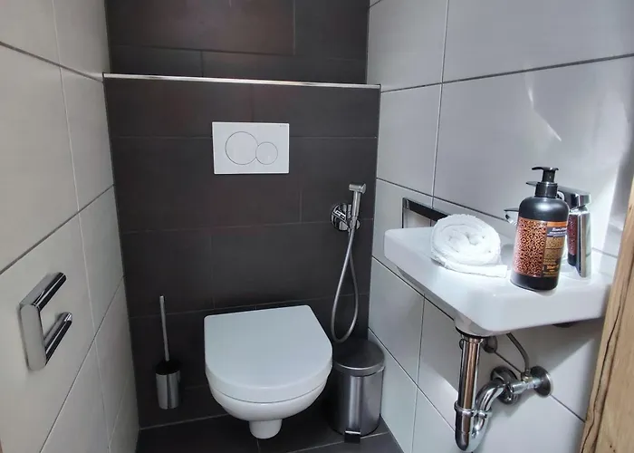 Alpinoase Centre Zell Am Zell am See