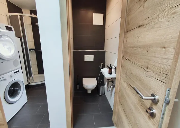 Appartamento Alpinoase Centre Zell Am *