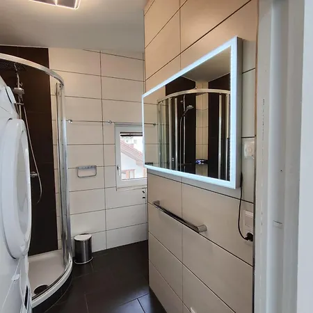 Appartement Alpinoase Centre Zell Am *